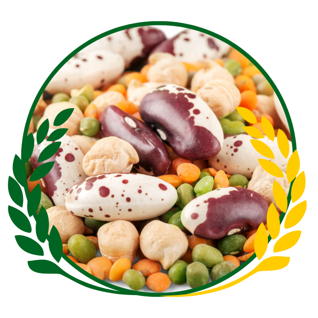 Versatile and Nutritious Power of Grainful Lentils