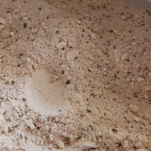 Yogurt Rice