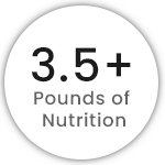 3.5