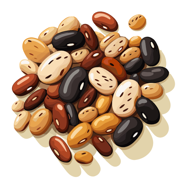 Kidney beans