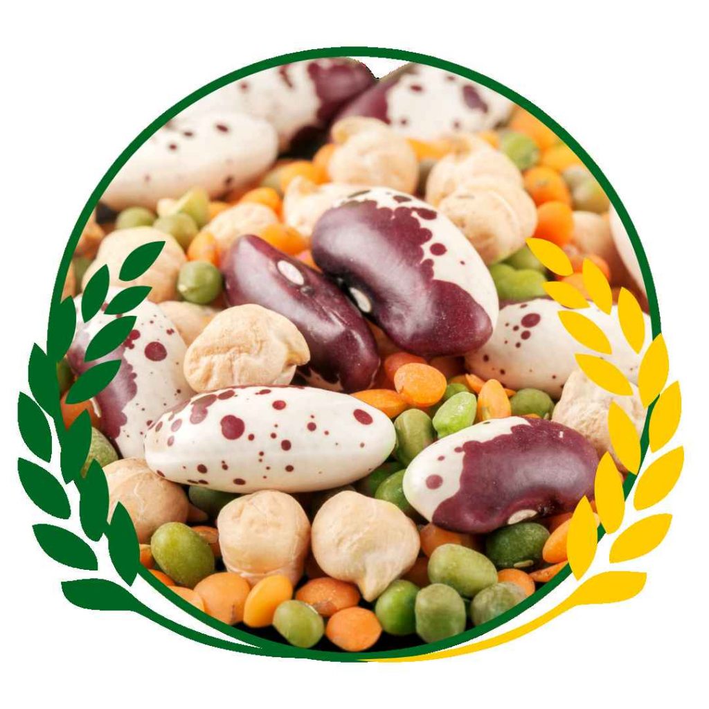 Versatile-and-Nutritious-Power-of-Grainful-Lentils