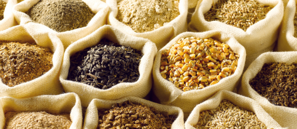 Good Food Good Health