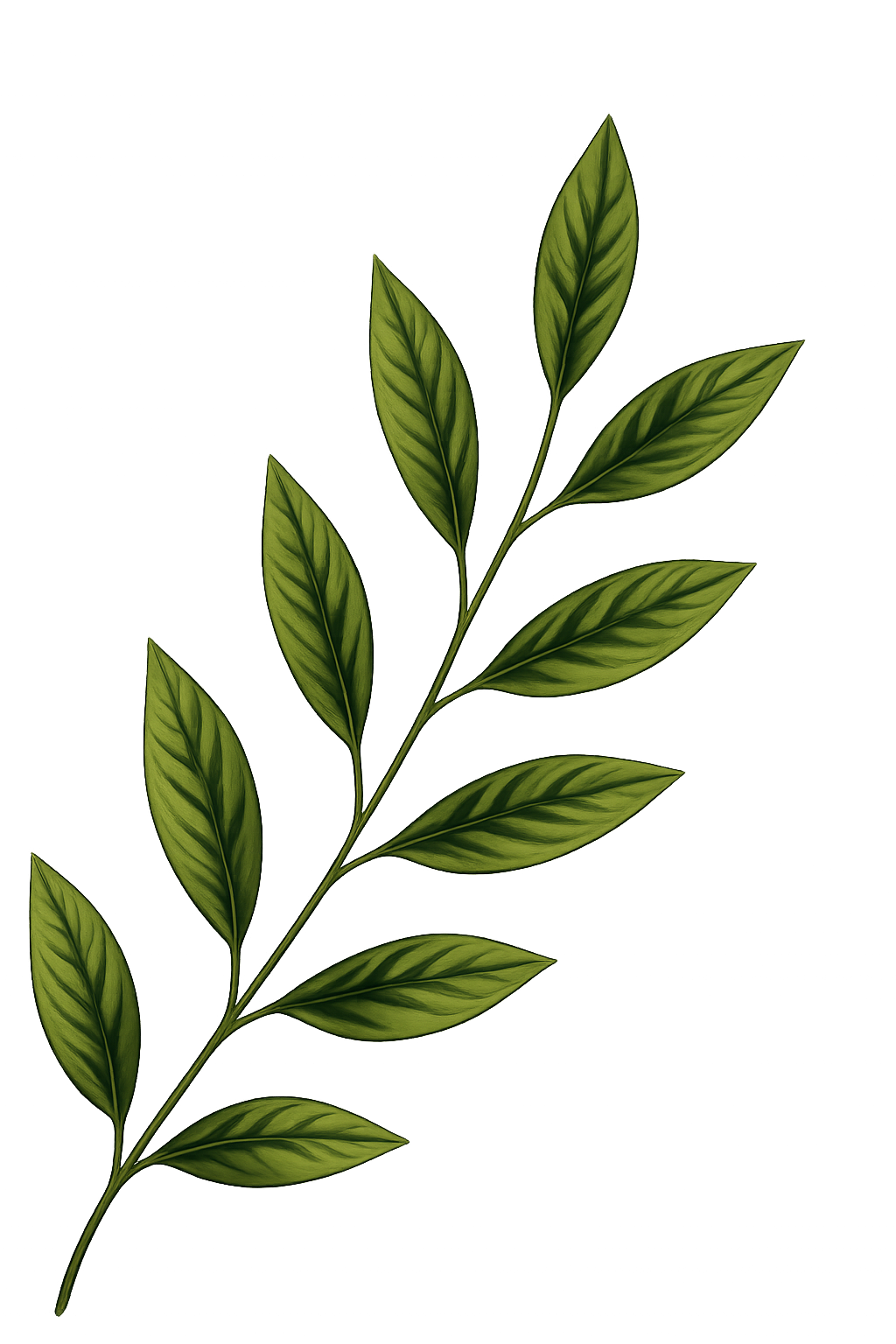 Partner with Grainful Blends